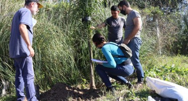 Jornada de plantación de arboles nativos en Rincón de Milberg