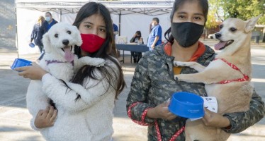 ¿Dónde vacunar a tus mascotas esta semana en San Isidro?