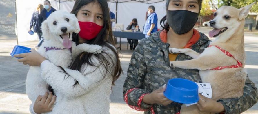 ¿Dónde vacunar a tus mascotas esta semana en San Isidro?