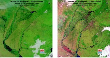 Cómo impactará la bajante del río Paraná en el agro y en el ambiente