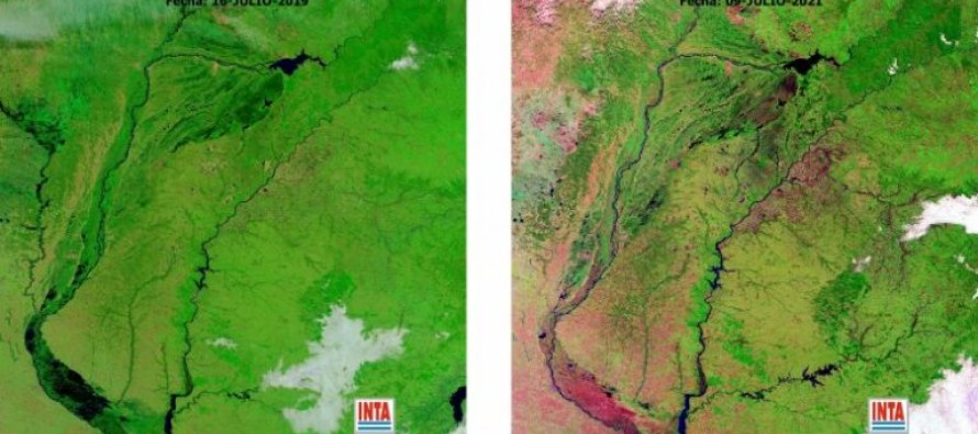 Cómo impactará la bajante del río Paraná en el agro y en el ambiente