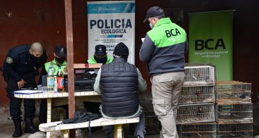 La Brigada de Control Ambiental rescató aves silvestres en Pilar