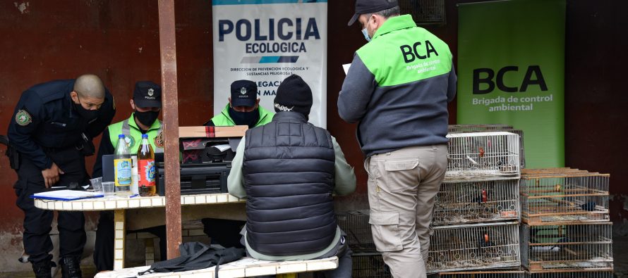 La Brigada de Control Ambiental rescató aves silvestres en Pilar