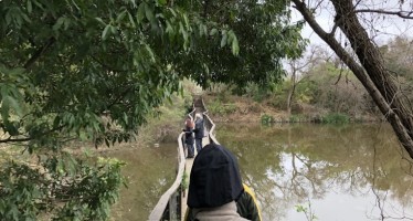 Recorrimos la Reserva Ecológica de Vicente López, una opción para conectar con el ambiente