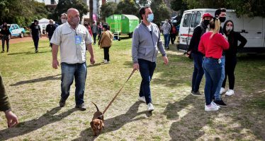 Escobar: festival de concientización sobre adopción y tenencia responsable de mascotas