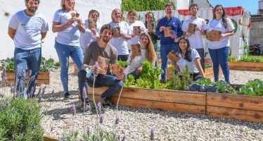 San Fernando lanzó la 4ta edición de Huerta en Casa: ¿Cómo obtener las semillas?