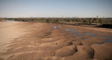 Se tomarán muestras para evaluar la presencia de cianobacterias en la región del río Paraná