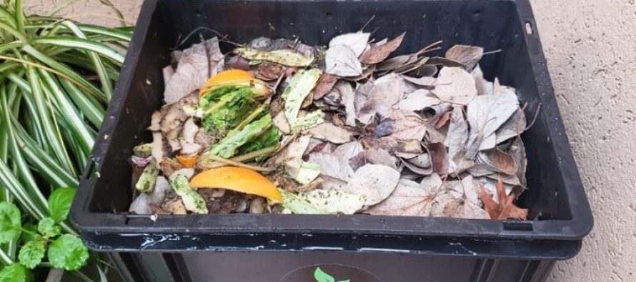 En el Mes del Compostaje, mitos y verdades sobre el compost