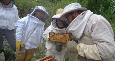 Jornada apícola en el Centro de Formación Profesional 402 de Paraná Miní