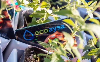 EcoAySA: un programa de beneficios que apunta a cuidar el ambiente