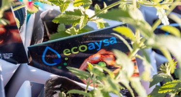 EcoAySA: un programa de beneficios que apunta a cuidar el ambiente