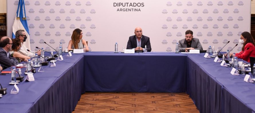 II Jornada de diálogo “Litio en Argentina: Escenario actual y perspectivas de futuro”