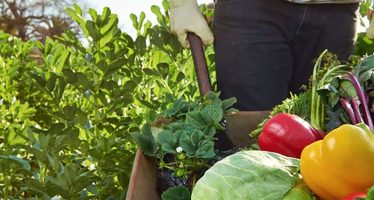 Banco Nación presentó líneas de créditos para pequeños productores de la economía social y agricultura familiar