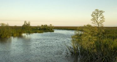 Paseo en kayak, la nueva propuesta para explorar las islas de San Isidro