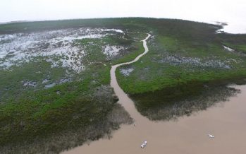 Las nuevas islas de San Isidro ya tienen nombre