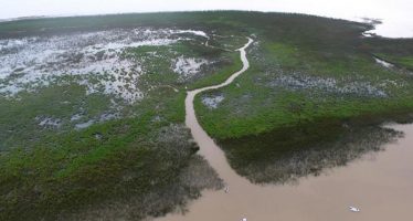 Las nuevas islas de San Isidro ya tienen nombre