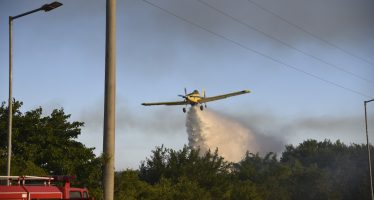 El incendio en el Parque Nacional Ciervo de los Pantanos está controlado