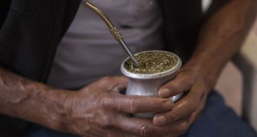 Yerba mate: identidad, hábito y nutrición