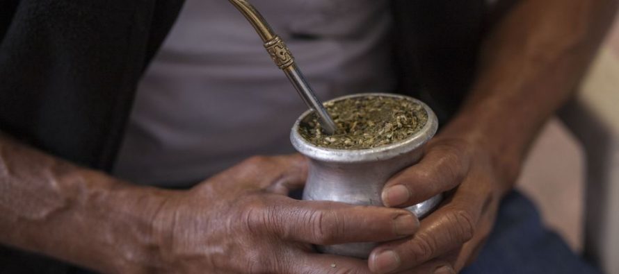 Yerba mate: identidad, hábito y nutrición