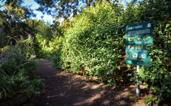 Escobar Sostenible: la Municipalidad convoca a la comunidad a diseñar un mapa virtual de biocorredores