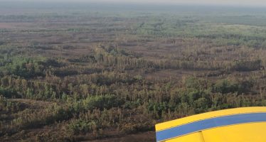 El foco de incendio en el Delta sanfernandino está controlado