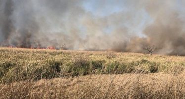 Incendio en el Delta de San Fernando