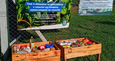 Escobar: Los vecinos que donen alimentos pueden acceder a la cosecha de la huerta municipal