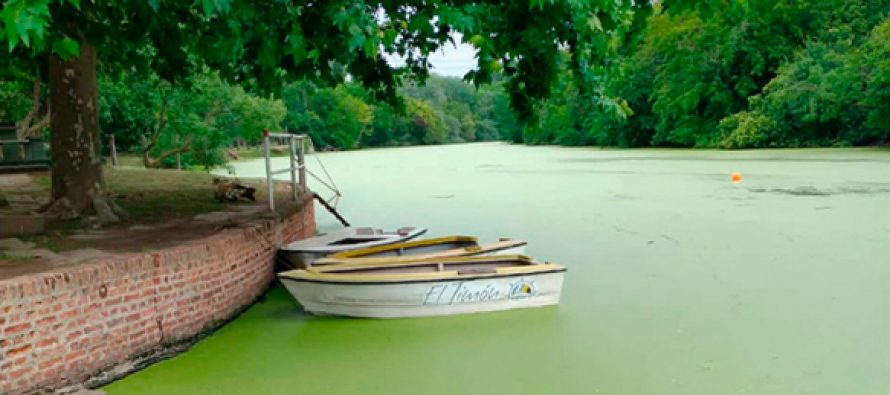 Continúan los trabajos de monitoreo de la calidad del agua del Río Luján