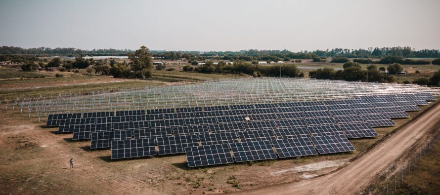 Loma Verde: ya se colocaron la mitad de los paneles solares del primer parque solar municipal de la Argentina