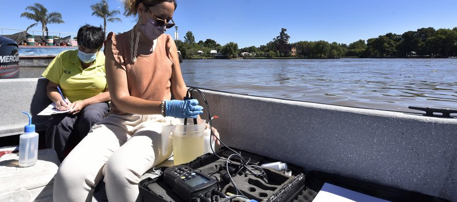 Cianobacterias: realizaron monitoreos en el Delta para evaluar el estado del agua