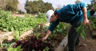 Cómo funciona la huerta comunitaria Puerto Libre de Martínez