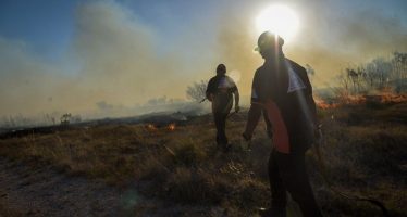 Incendios forestales: cómo se encuentran los focos de Zárate y Campana