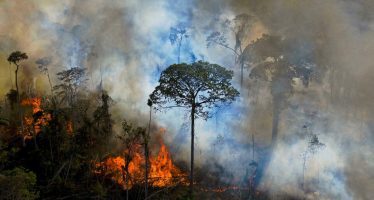 El cambio climático no es ficción ni exageración, debemos actuar ahora o nunca