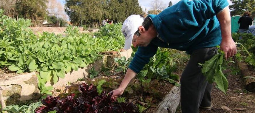 San Isidro: abierta la inscripción para el curso de huertas agroecológicas