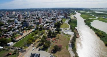 San Nicolás: denuncian desmonte ilegal de bosque nativo en el Delta del Paraná