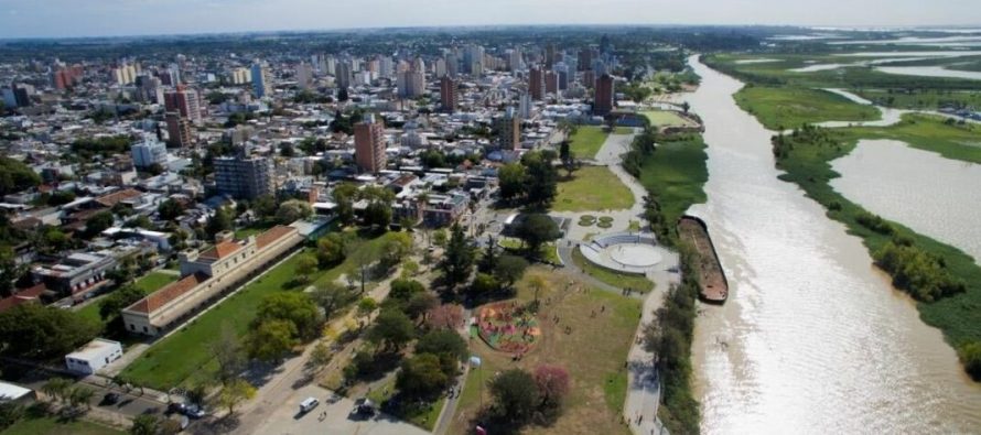 San Nicolás: denuncian desmonte ilegal de bosque nativo en el Delta del Paraná