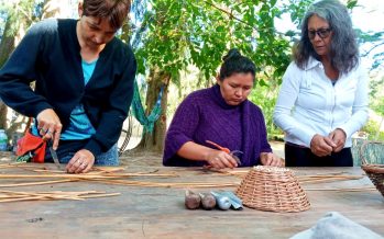 Taller de mimbre en la Comunidad Moqoit del Delta de Tigre