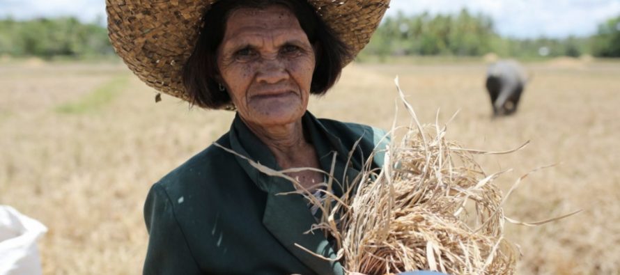 El 80% de las personas afectadas por el cambio climático son mujeres