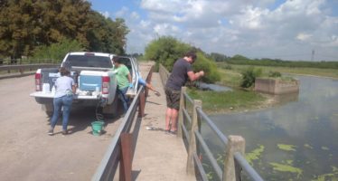 Concluye muestreo de verano de calidad de agua en el Río Reconquista