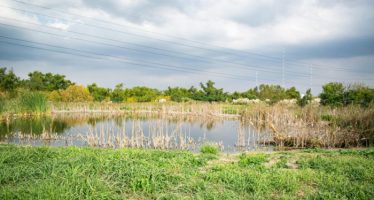 Dos proyectos científico-tecnológicos para la Cuenca del Río Reconquista