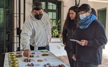 Productores de pecán participaron de una capacitación en el Museo de la Reconquista