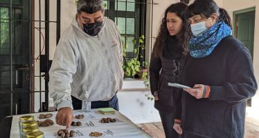 Productores de pecán participaron de una capacitación en el Museo de la Reconquista