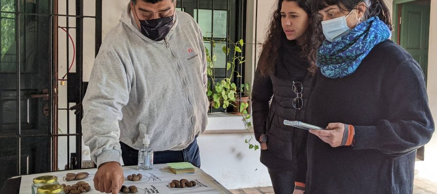 Productores de pecán participaron de una capacitación en el Museo de la Reconquista