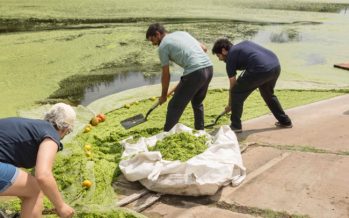 ComiLu monitorea la proliferación de vegetación acuática en el Río Luján