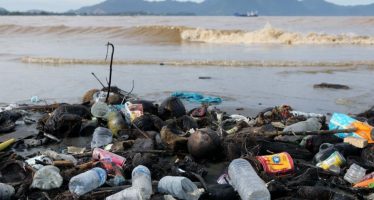 Plásticos: por qué no todos son reciclables y cuál es el daño irreversible que generan