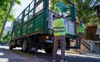 Alternativas para el tratamiento de residuos especiales domiciliarios en Vicente López