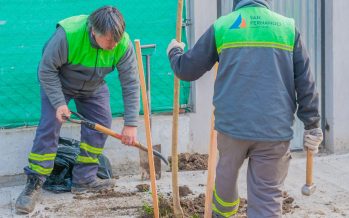 San Fernando continúa plantando árboles en distintos barrios