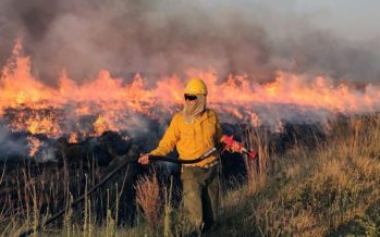 ¿Qué significa que la Argentina haya entrado en default ambiental?