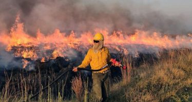 Incendios en el Delta del Paraná: ¿qué plantearon al respecto desde el Ministerio de Ambiente?