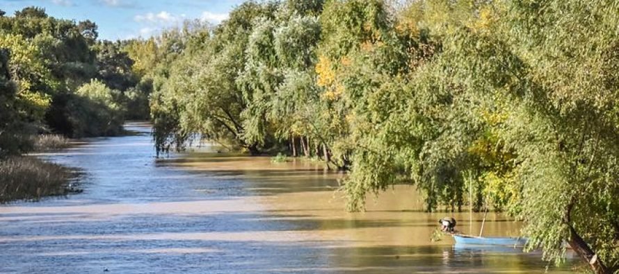 Abierta la convocatoria para financiar proyectos de manejo y conservación de bosques nativos